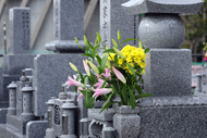 お墓・霊園・手元供養