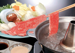 【岩手県】前沢牛 しゃぶしゃぶ 肩・もも 計500g