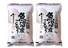 【新潟県】雪蔵仕込み魚沼十日町こしひかり 10kg