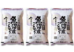 【新潟県産】雪蔵仕込み魚沼十日町こしひかり 15kg