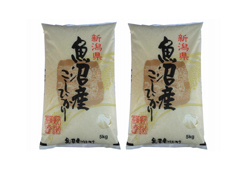 【新潟県】魚沼産こしひかり 10kg