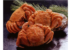 【北海道】北海道 ボイル毛がに姿 400g×3尾