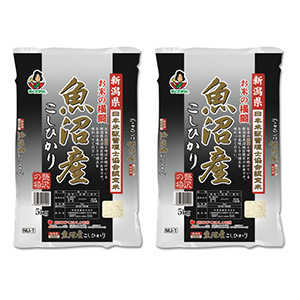 【新潟県】お米の横綱 魚沼産こしひかり 5kg×2
