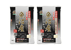 【新潟県】お米の横綱 魚沼産こしひかり 5kg×2