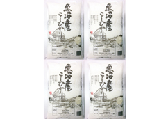 【新潟県】魚沼コシヒカリ 5kg×4