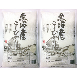 【新潟県】魚沼コシヒカリ 5kg×2