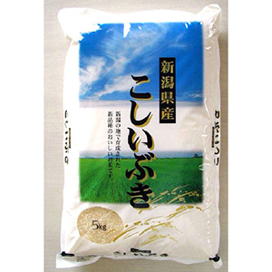 【新潟県】雪蔵仕込み新潟こしいぶき 5kg