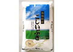 【新潟県】雪蔵仕込み新潟こしいぶき 5kg