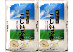 【新潟県】雪蔵仕込み新潟こしいぶき 5kg×2