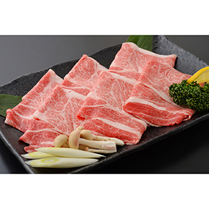 【岐阜県産】飛騨牛肩ロースしゃぶしゃぶ 600g